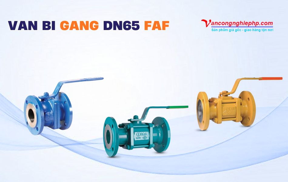 Các model van bi gang DN65 thương hiệu FAF