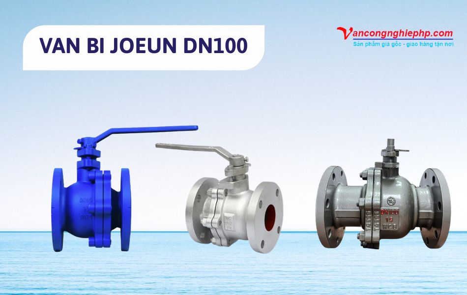 van bi dn100 joeun