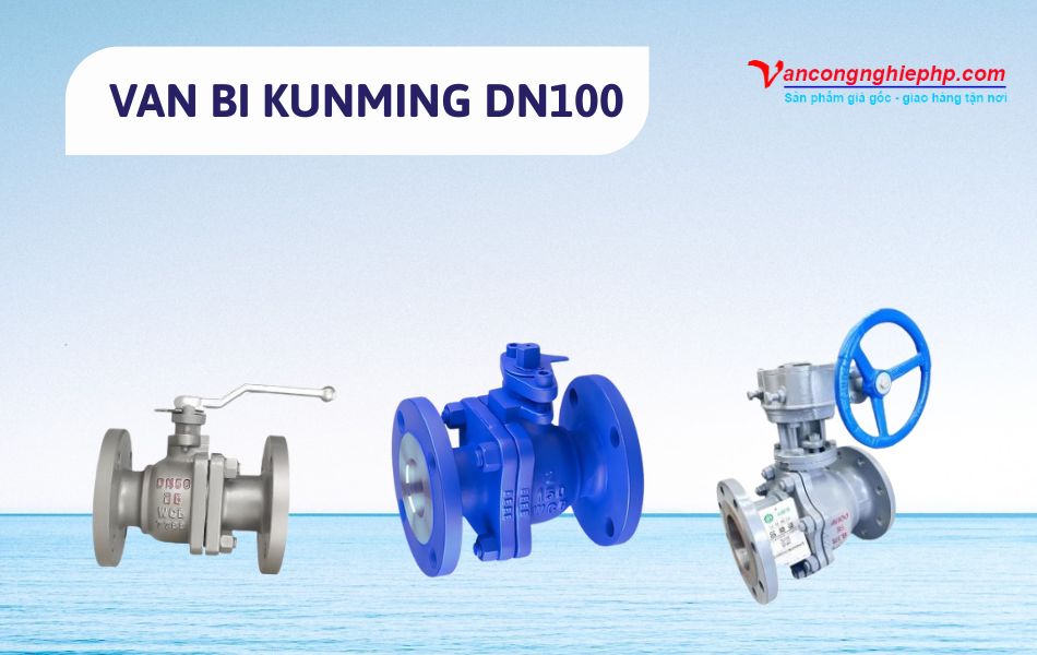 van bi dn100 kunming