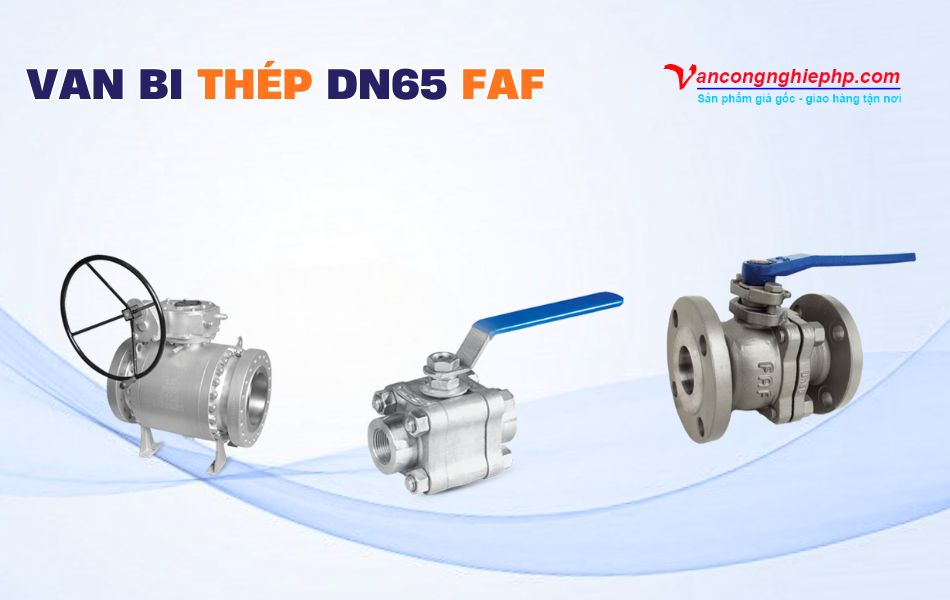 Các model van bi thép DN65 thương hiệu FAF