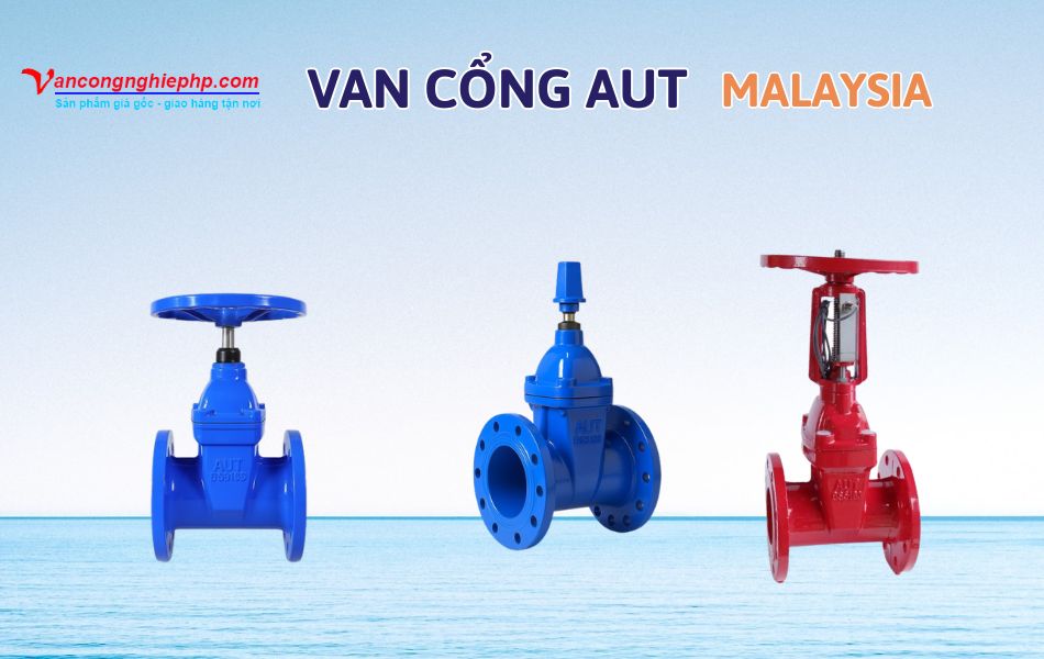 van cổng aut