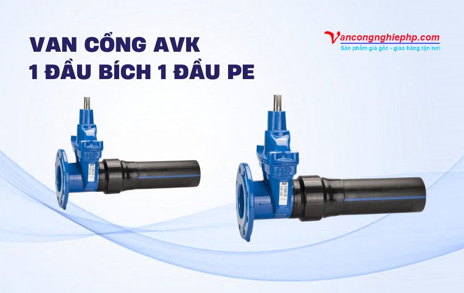 Các mẫu van cổng AVK 1 đầu bích 1 đầu PE