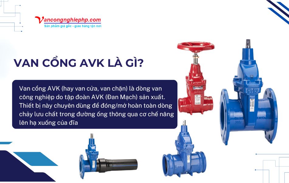 Giới thiệu chung về van cổng AVK