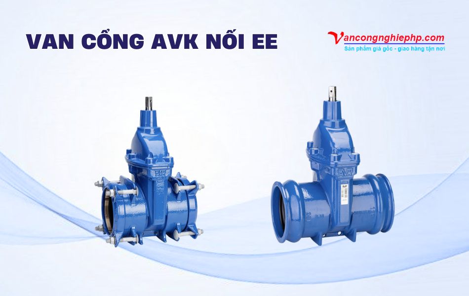 Các mẫu van cổng AVK kết nối EE