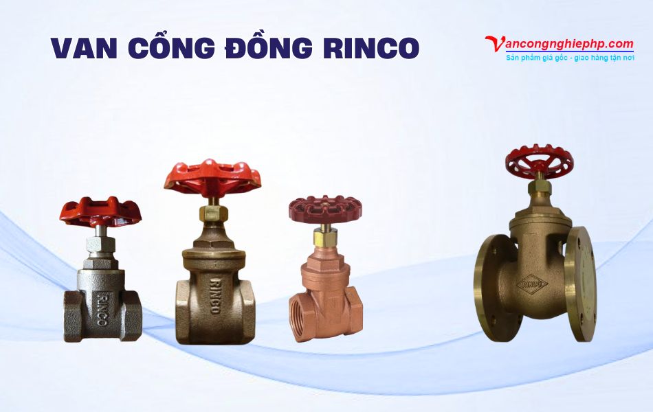 van cổng đồng rinco