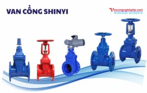 van cổng shinyi
