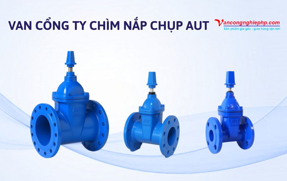 Van cổng ty chìm nắp chụp AUT