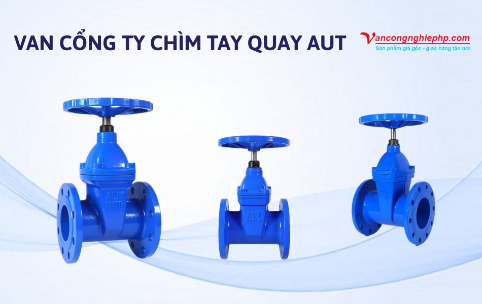 Van cổng ty chìm tay quay AUT