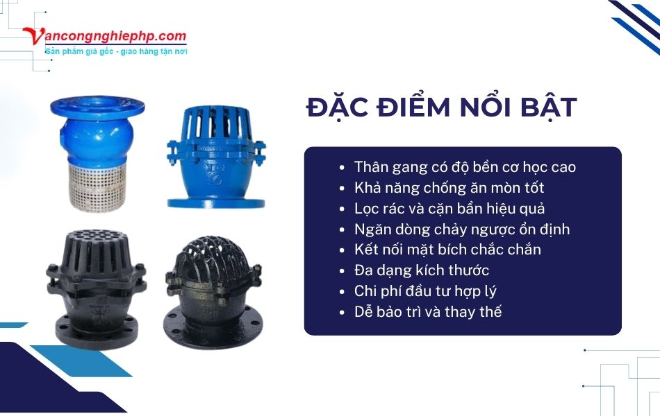 đặc điểm nổi bật rọ bơm gang