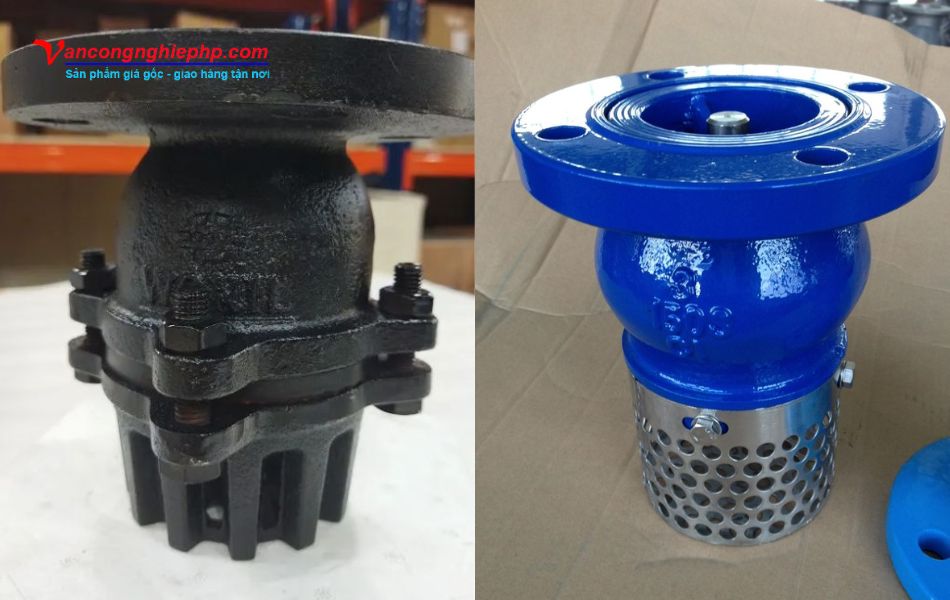 hình ảnh thực tế rọ bơm gang