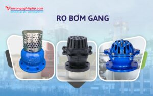 rọ bơm gang