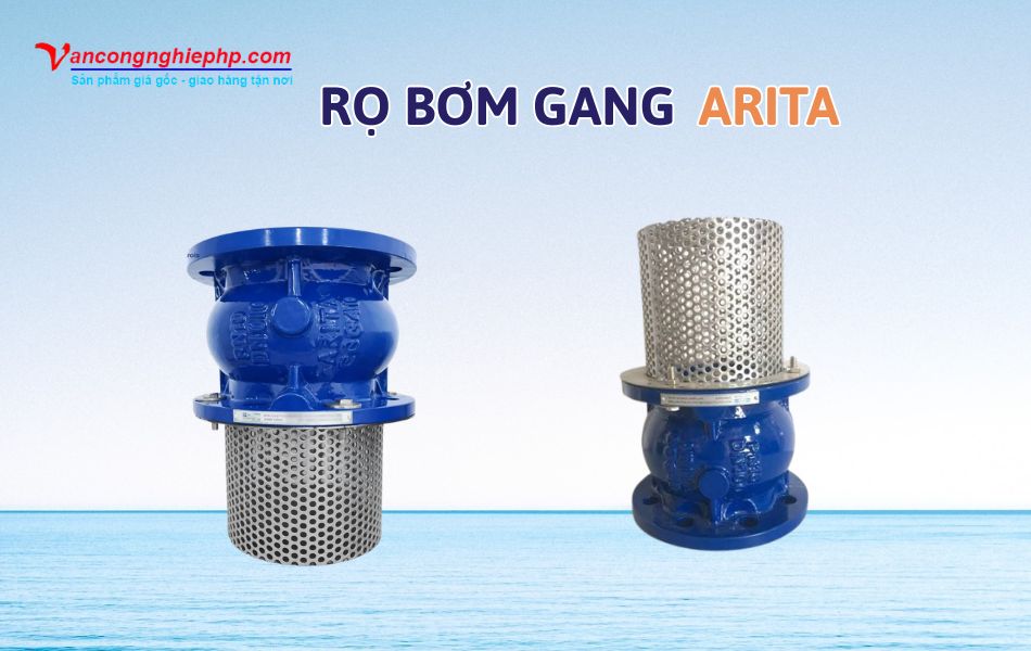 Các mẫu rọ bơm gang thương hiệu Arita