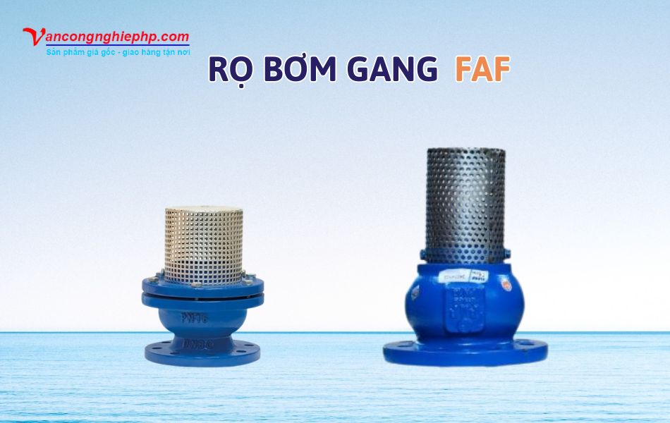 Các mẫu rọ bơm gang thương hiệu FAF