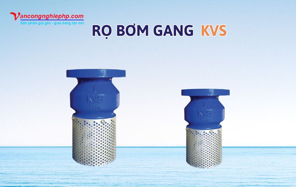 Các mẫu rọ bơm gang thương hiệu KVS