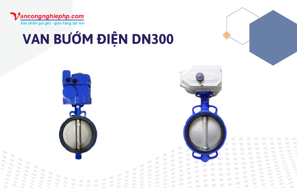 van bướm diện dn300