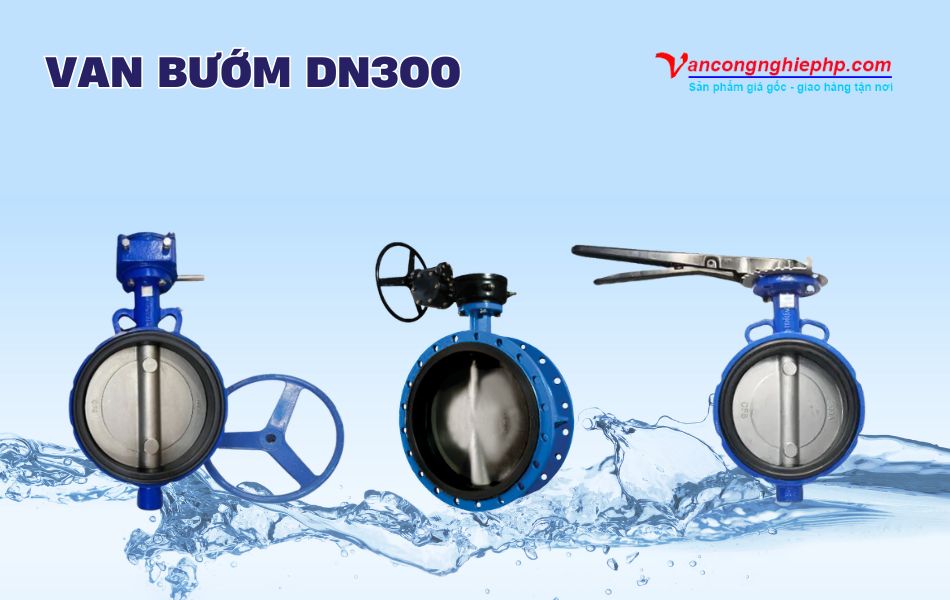 van bướm dn300