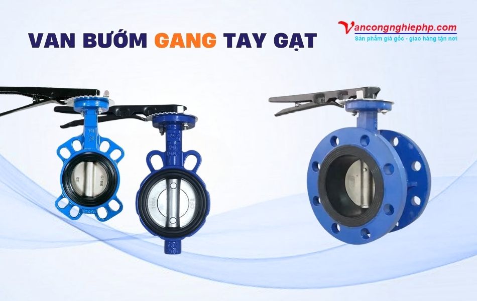 van bướm gang tay gạt