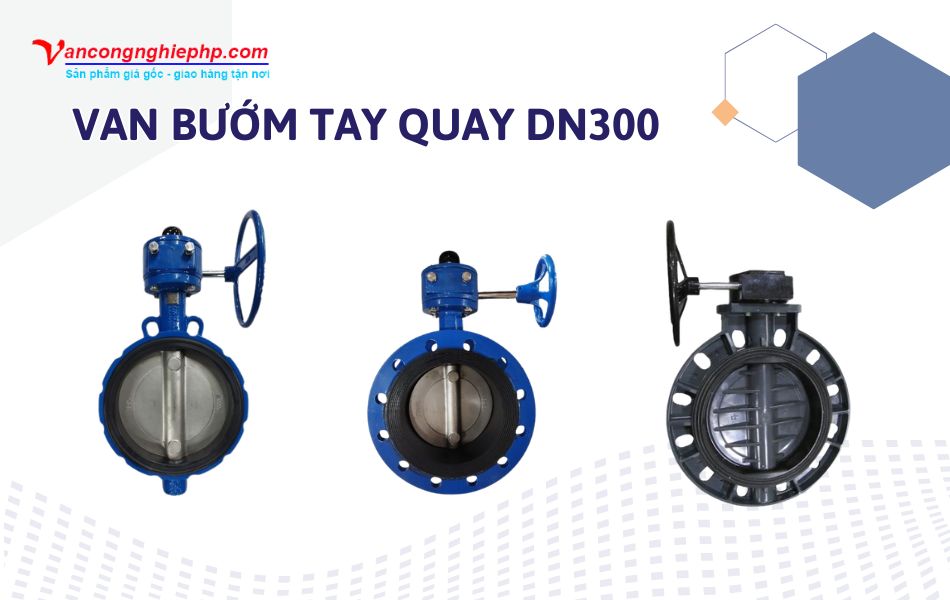 van bướm tay quay dn300