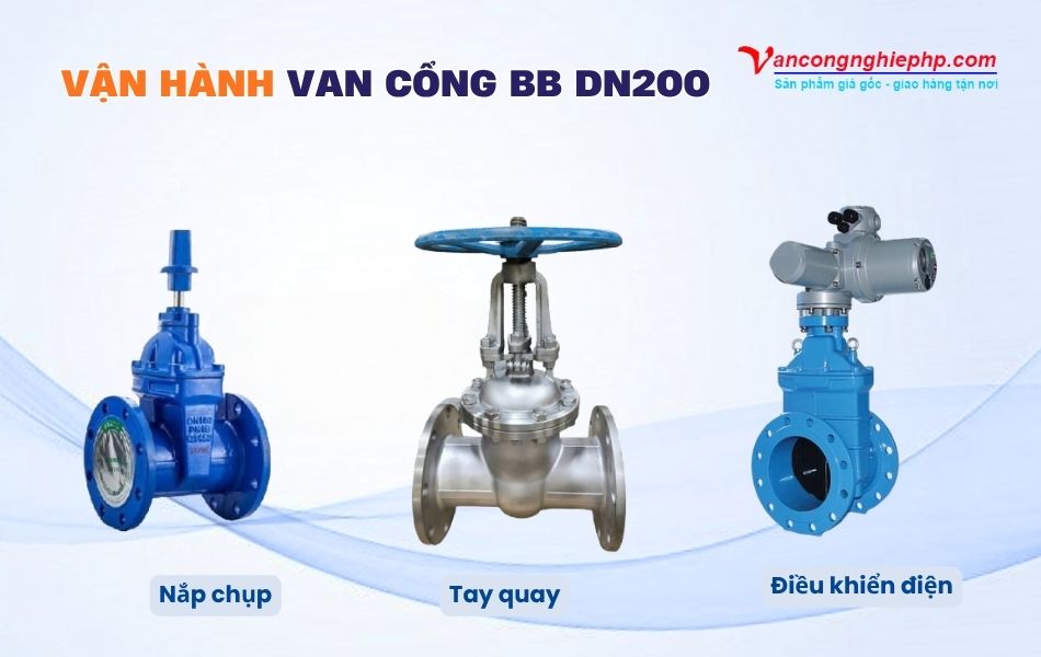 các dạng vận hành van cổng bb dn200