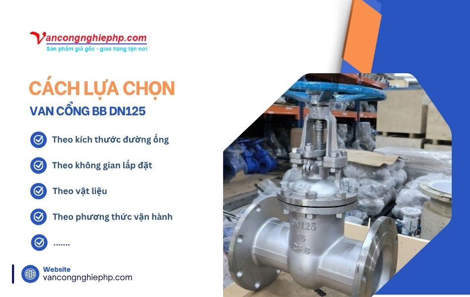 cách lựa chọn van cổng bb dn125