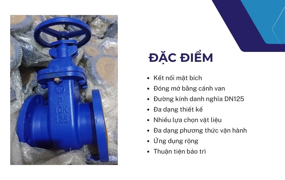 đặc điểm van cổng bb dn125