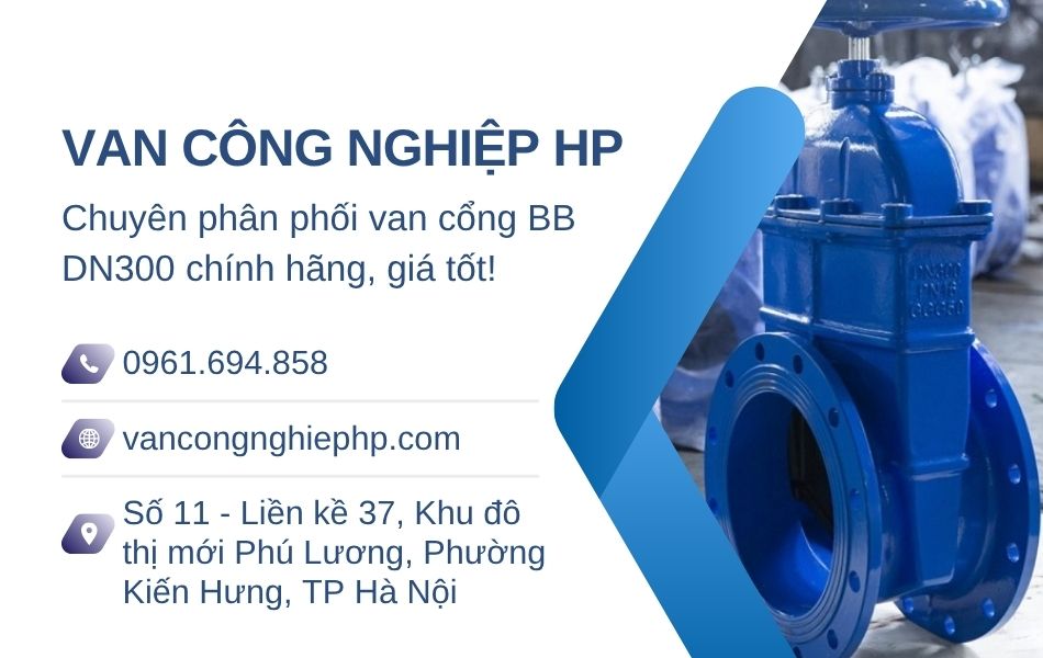 địa chỉ mua van cổng bb dn300