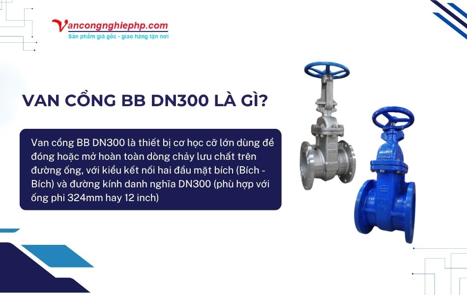 van cổng bb dn300 là gì