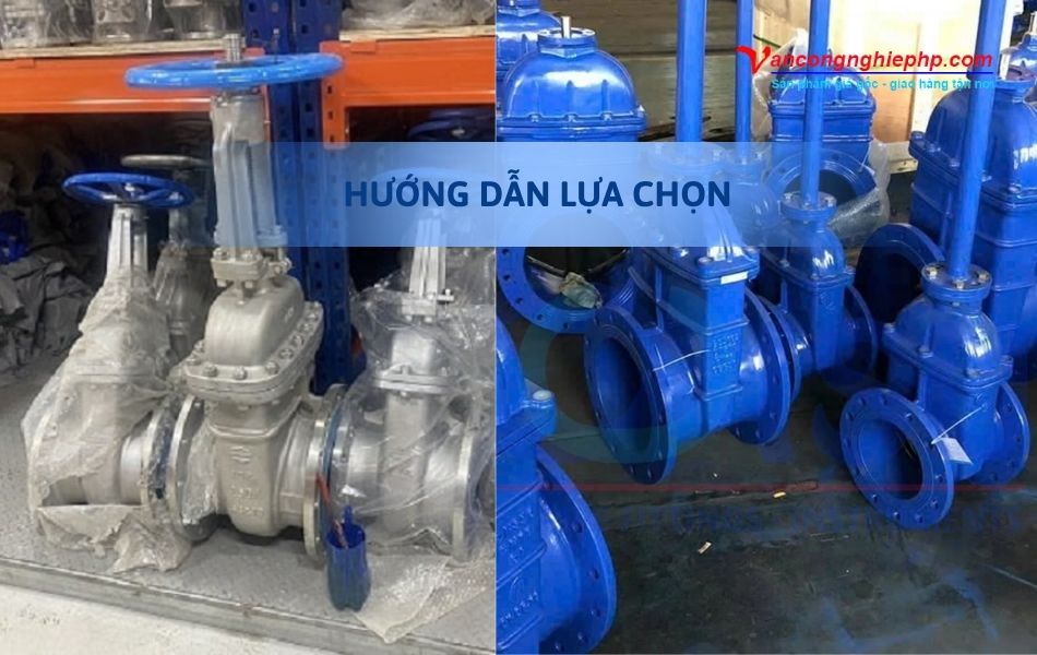 hướng dẫn lựa chọn van cổng bb dn250