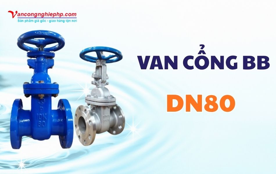 van cổng bb dn80 là gì