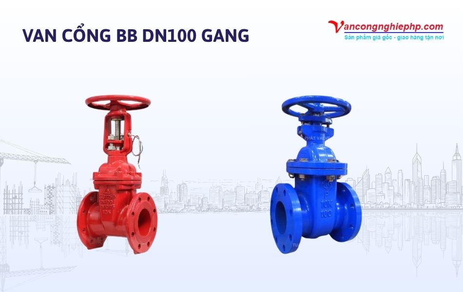 Van cổng BB DN100 gang