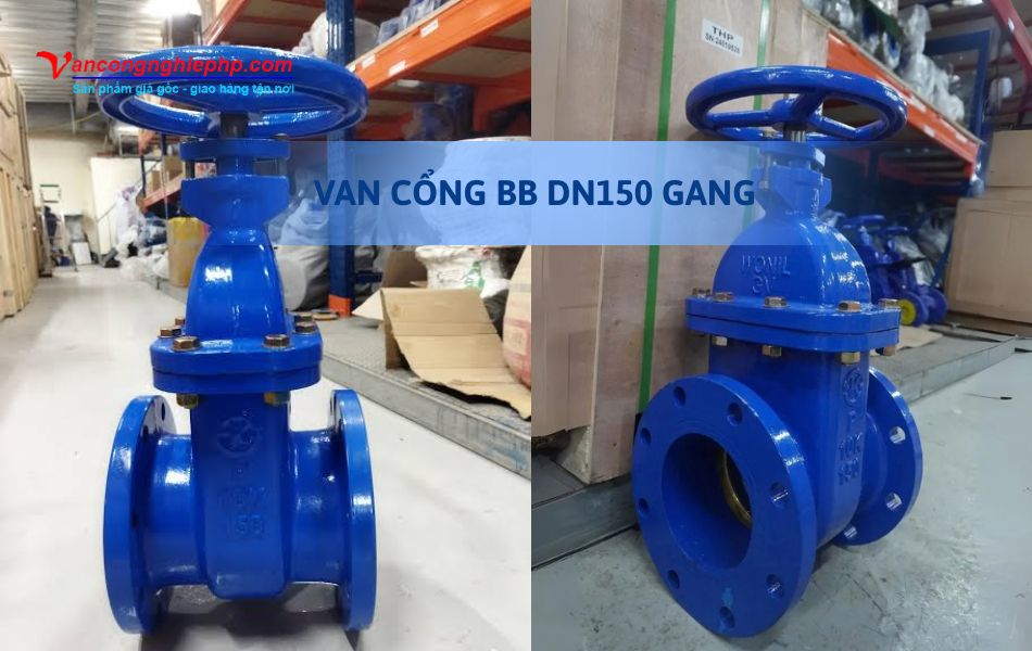 Van cổng BB DN150 gang