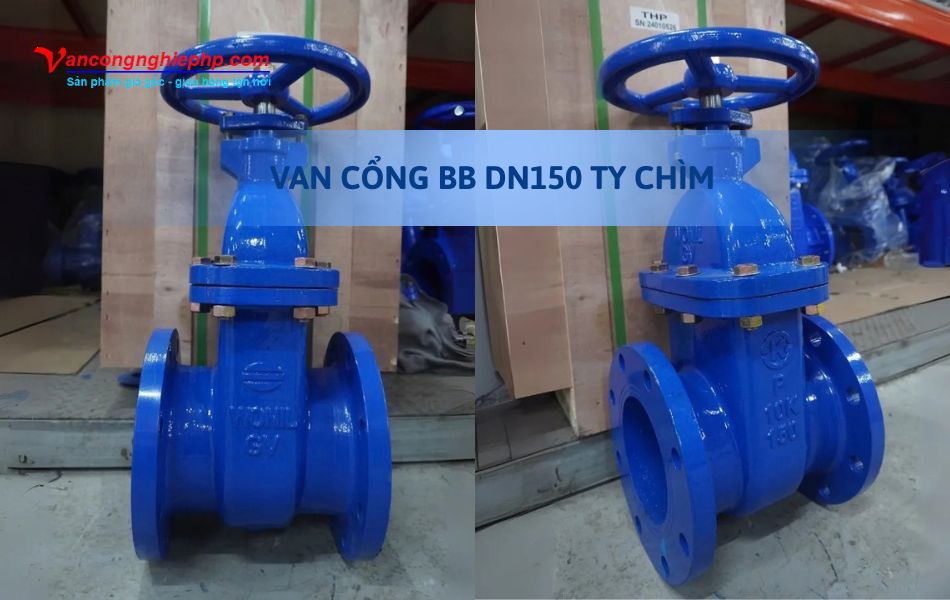 Van cổng BB DN150 ty chìm