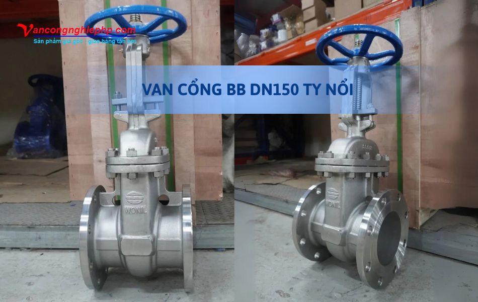 Van cổng BB DN150 ty nổi