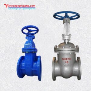Van cổng BB DN250