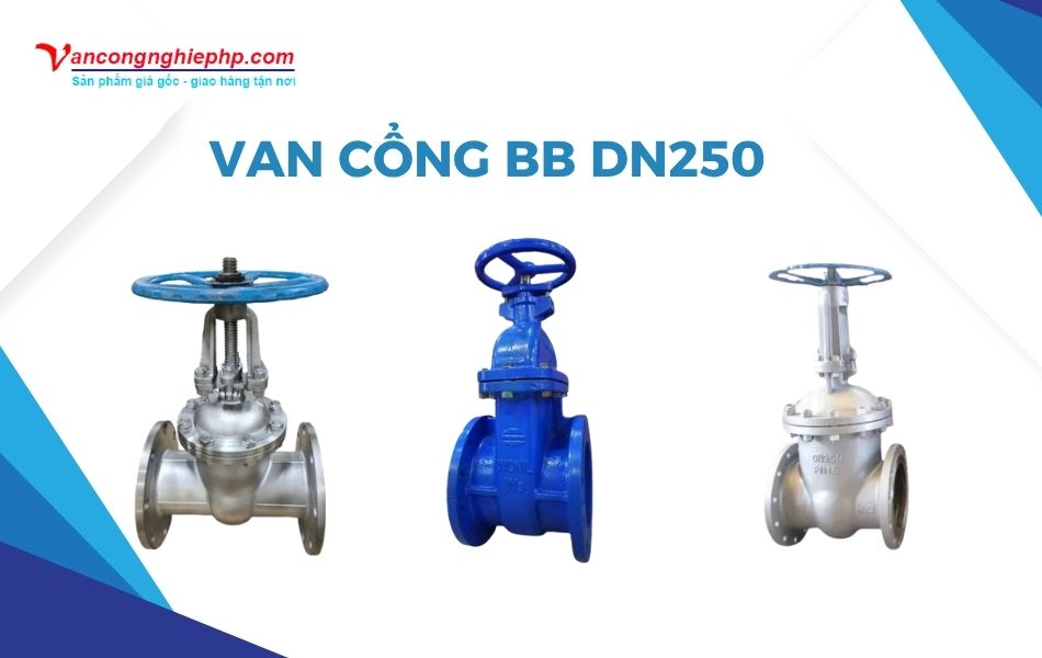 van cổng bb dn250 là gì