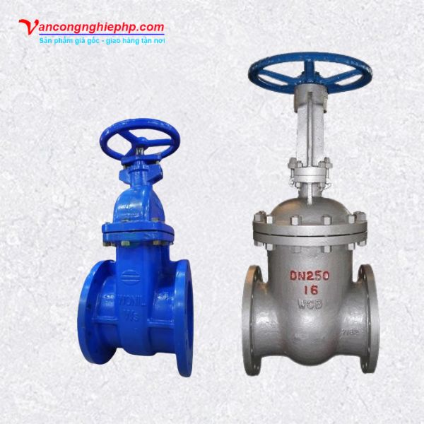 Van cổng BB DN250