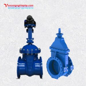 Van cổng BB DN350