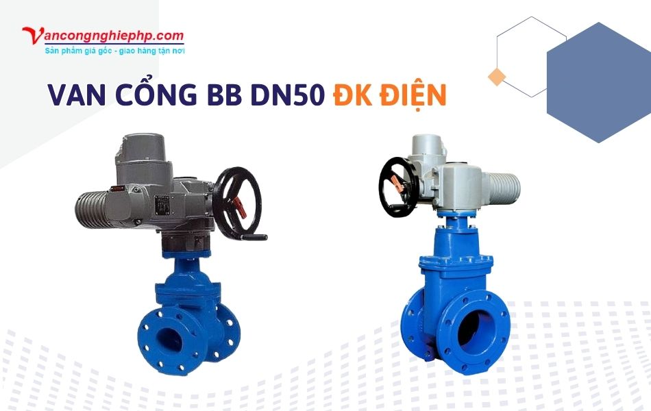Van cổng BB DN50 điều khiển điện