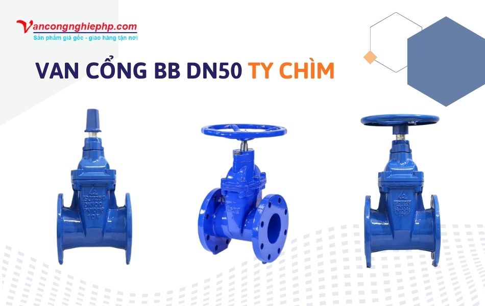Van cổng BB DN50 ty chìm