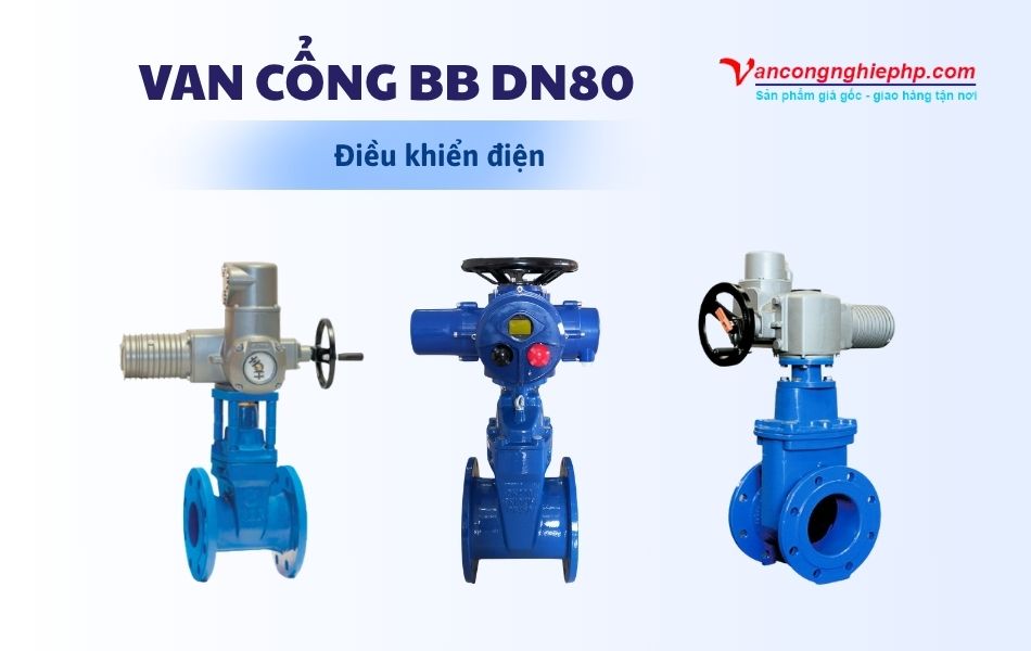 Van cổng BB DN80 điều khiển điện