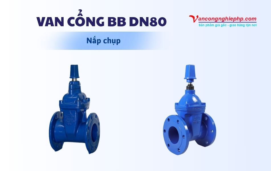 Van cổng BB DN80 nắp chụp
