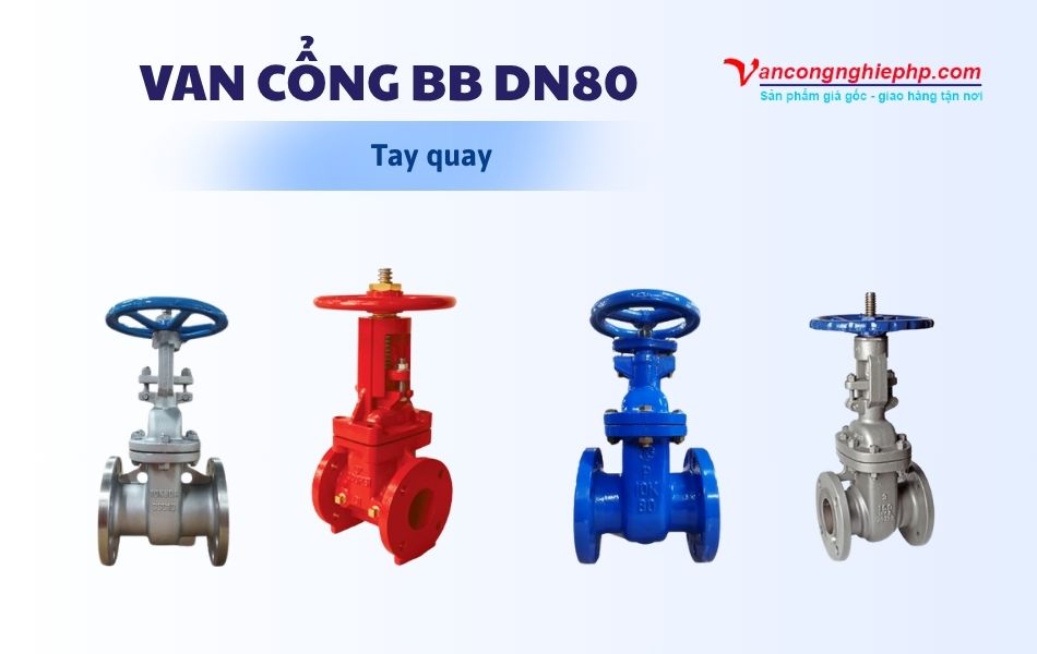 Van cổng BB DN80 tay quay