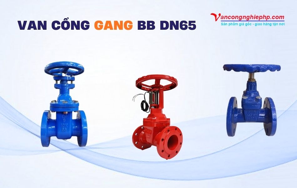 Van cổng gang BB DN65