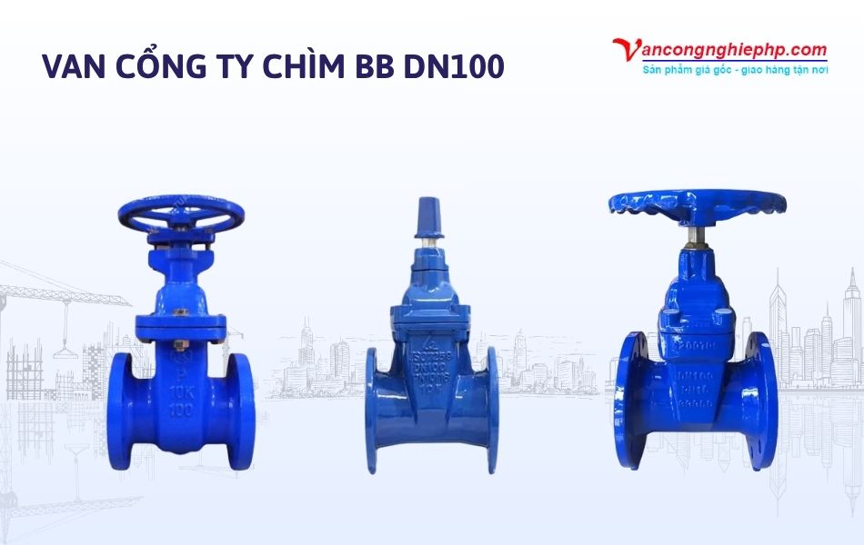 Van cổng ty chìm BB DN100