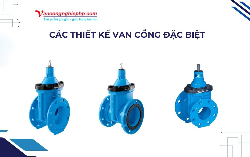 Các thiết kế van cổng đặc biệt