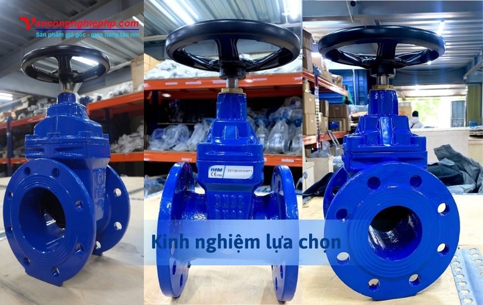 kinh nghiệm lựa chọn van cổng bb faf