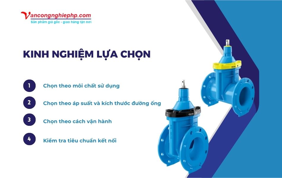 kinh nghiệm lựa chọn van cổng BB Hawle