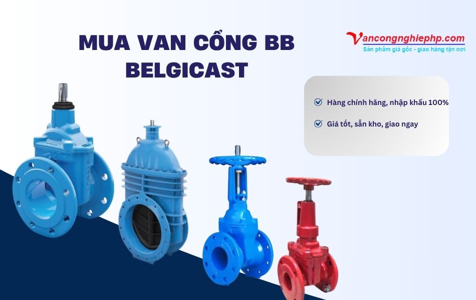 Van cổng BB BELGICAST mua ở đâu
