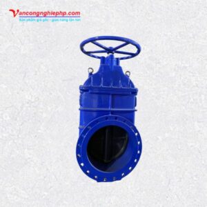 Van cổng BB DN500