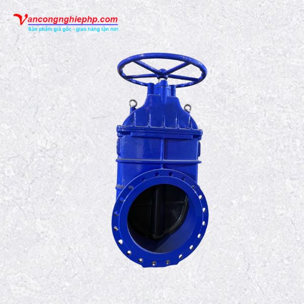 Van cổng BB DN500